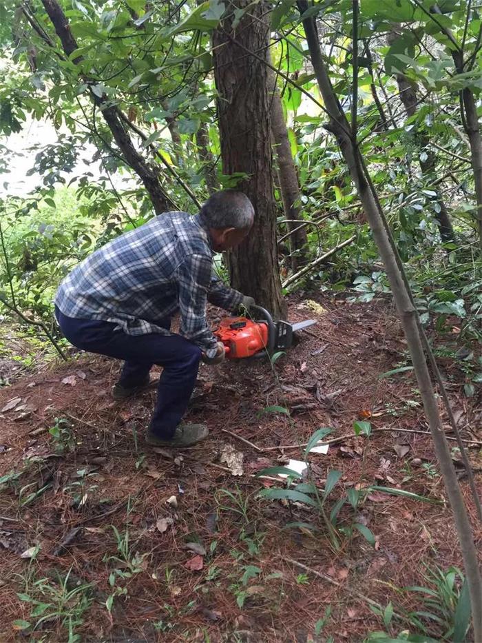 1583396133157717.jpg 12.jpg