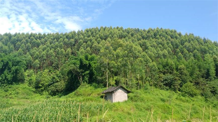 1584092891850215.jpg 大观牟家22.jpg