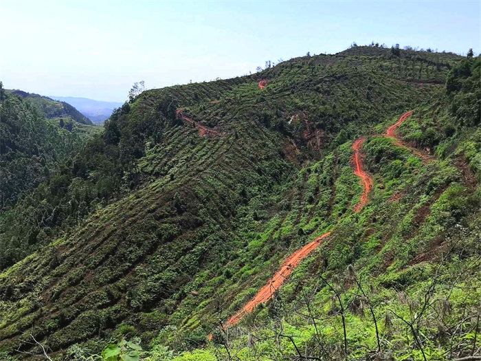 1591342244359897.jpg 111.jpg