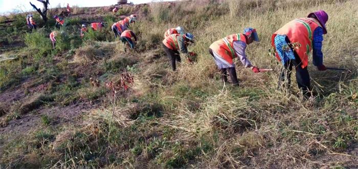 1608090504949095.jpg 5.jpg