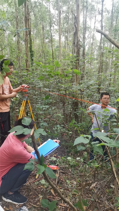 1634607588961560.jpg 4.jpg