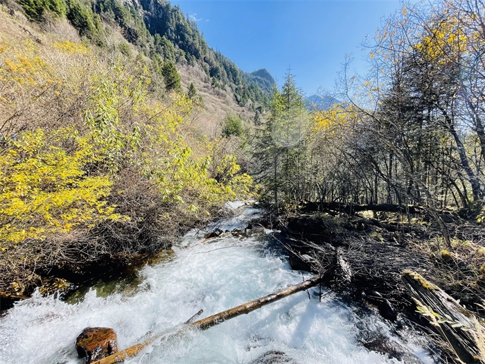 1669972163653310.jpg WPS图片(1).jpg